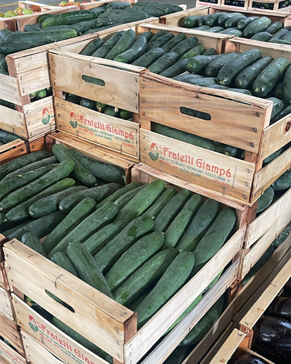 Cetrioli - Calabria - 0,50/1,00 euro al chilogrammo